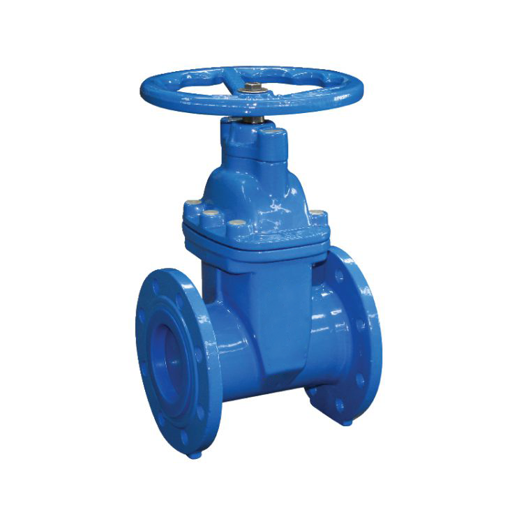 VARIMEX 12" PN16 Cast Iron Gate Valve Valve Supplier Malaysia